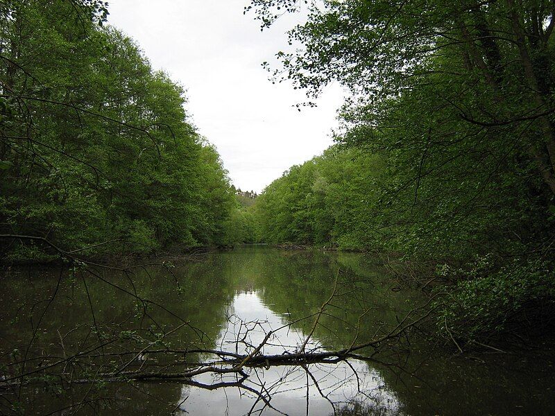 File:Eckbachweiher.jpg