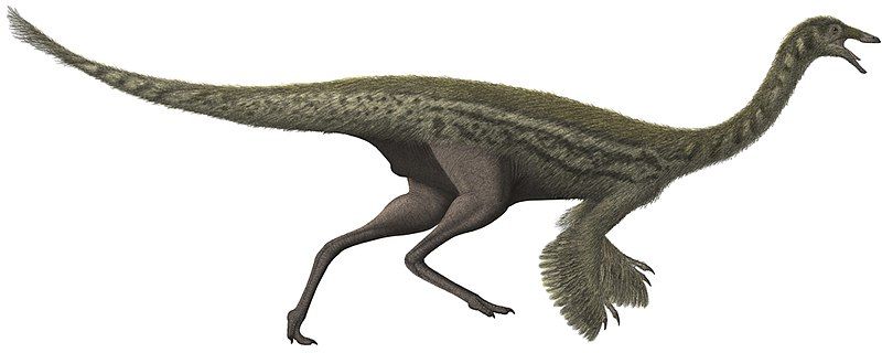 File:Gallimimus Steveoc86 (flipped).jpg