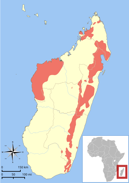 File:Hapalemur range map.svg