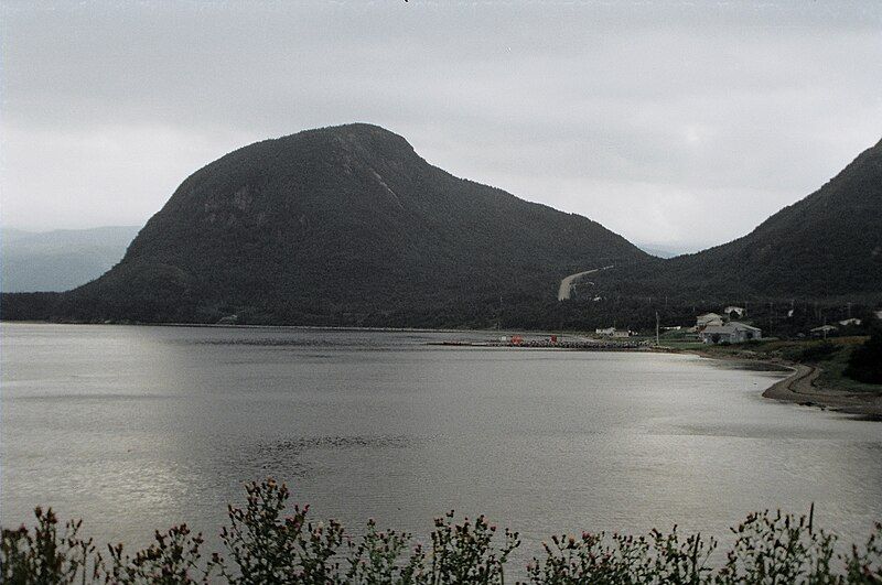 File:Lark Harbour, NL.jpg