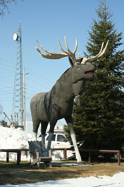 File:Maxthemoose.jpg