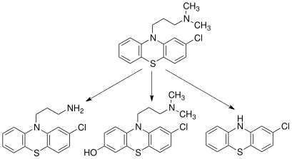 File:MetabsofChlorpromazine.svg