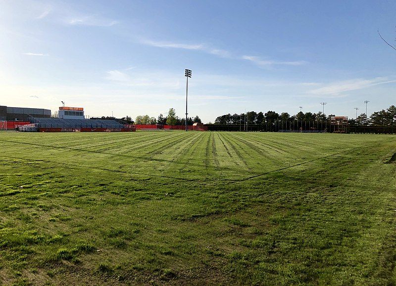 File:Mickey Cochrane Stadium.jpg