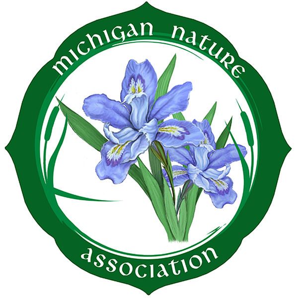 File:Mna logo.jpg