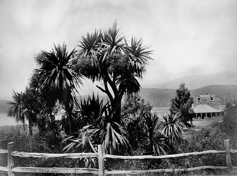 File:Ohinetahi, 1867.jpg