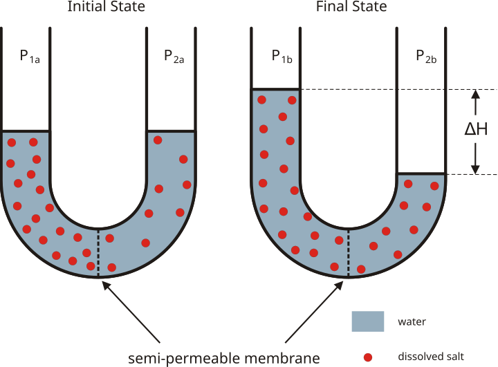 File:Osmose en.svg