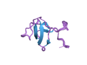 1z9q: Solution structure of SH3 domain of p40phox