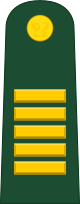 File:Peru-Army-OF-4.svg