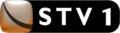 STV1 logo (2001–2004)