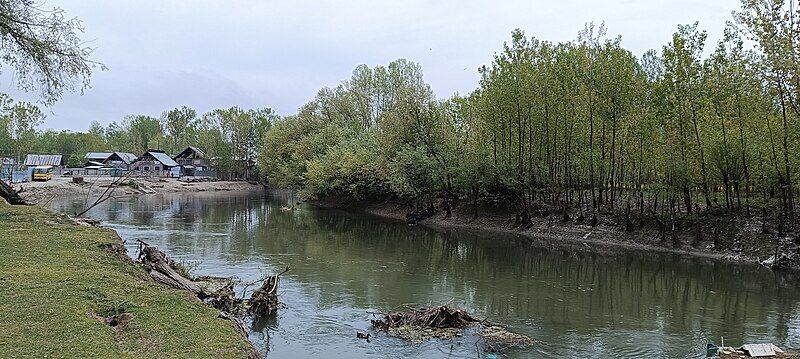 File:Sindh Forest.jpg