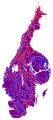 Cartogram of vote with each municipality rescaled in proportion to number of valid votes cast. Deeper blue represents a relative majority for the centre-right coalition, brighter red represents a relative majority for the left-wing coalition.