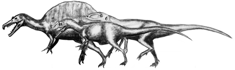 File:Theropods.png