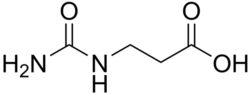 File:Ureidopropionate.png