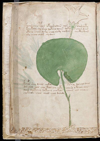 Page six of the Voynich Manuscript.