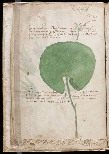 File:Voynich Manuscript (6).jpg