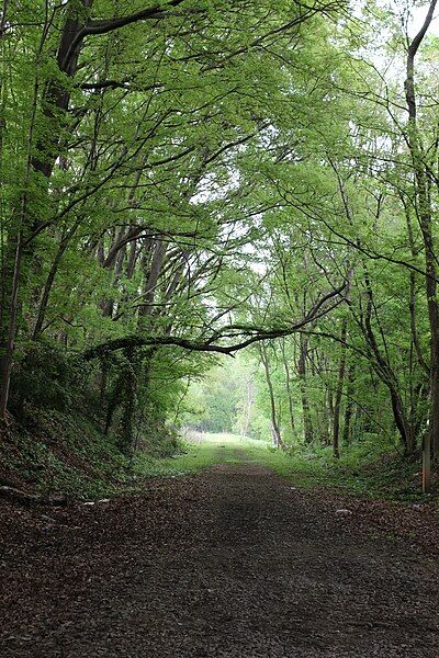 File:Westside Beltline.JPG