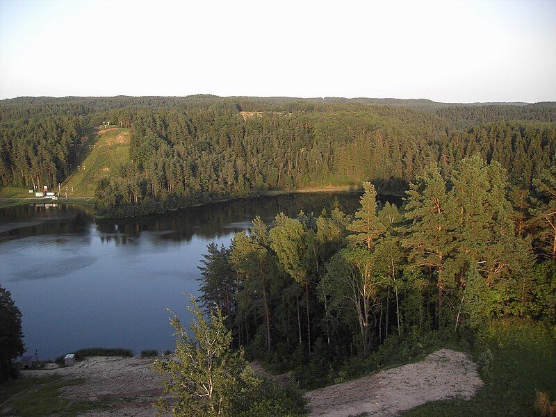 File:Zaliasis-Ignalina-2010.jpg