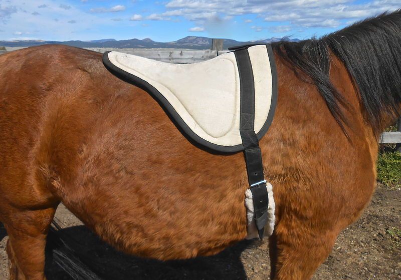 File:Bareback pad 07.JPG