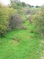 The course of the old 'Hillhead Railway' from Barkip Junction to Broadstone limestone quarry.