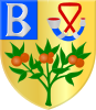 Coat of arms of Brongerga