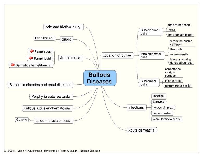 File:Bullous Diseases.pdf