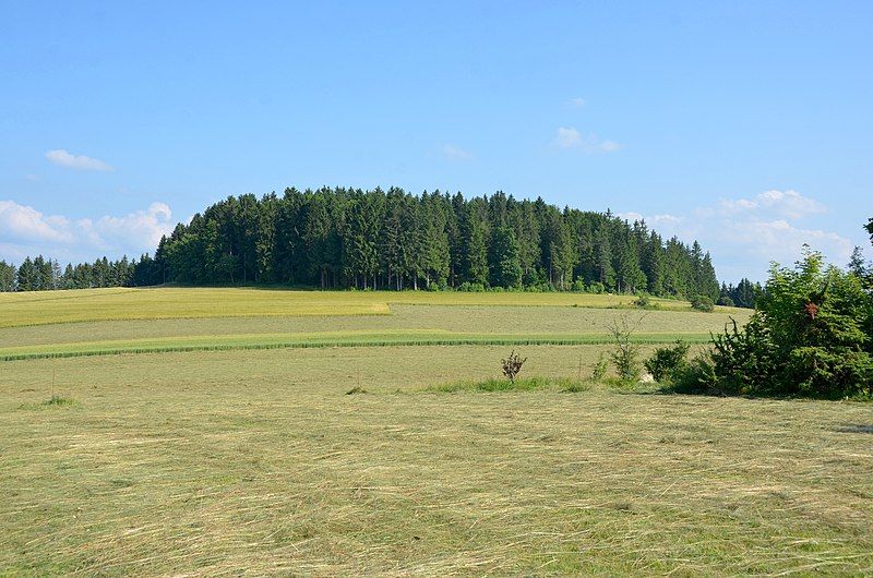 File:Burgbühl bei Obernheim-Tanneck.jpg