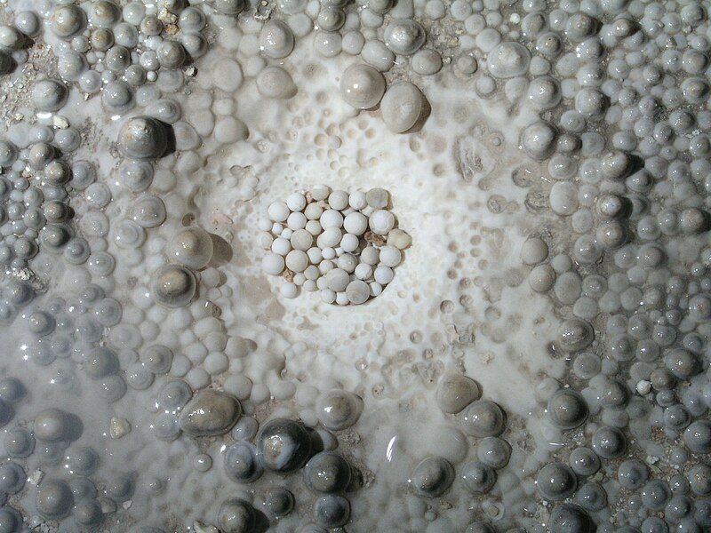 File:Cave Pearls.JPG