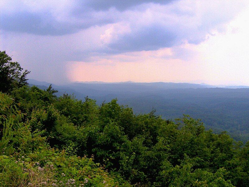 File:Cherohala-skyway-hemlock-tn1.jpg