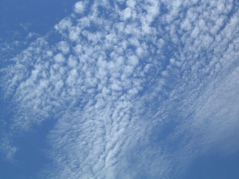 File:Cirrocumulus to Altocumulus.JPG