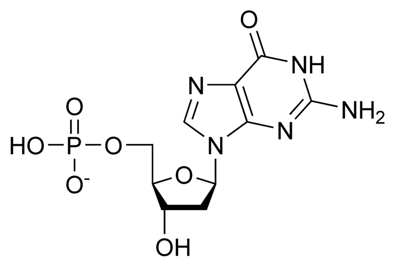 File:DGMP chemical structure.png