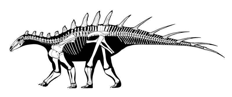 File:Dacentrurus armatus skeleton.png