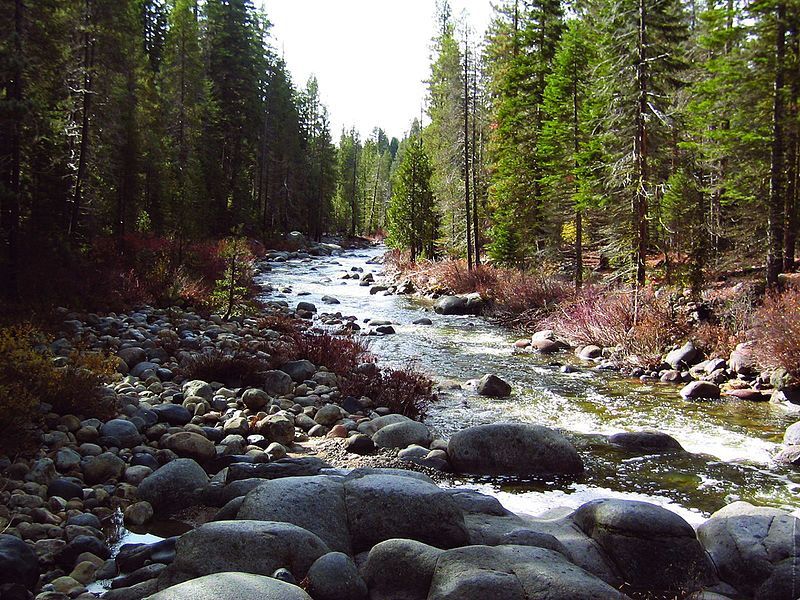 File:Dinkey Creek (3698751699).jpg