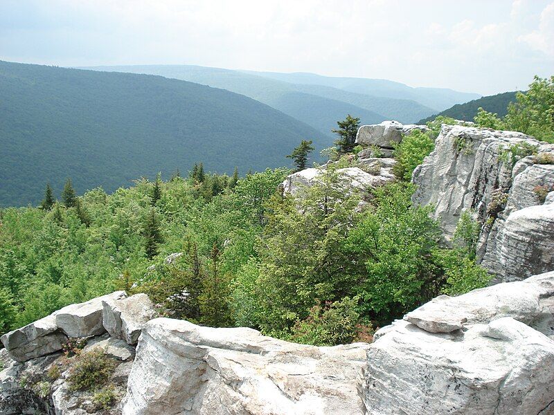 File:DollySods1.JPG