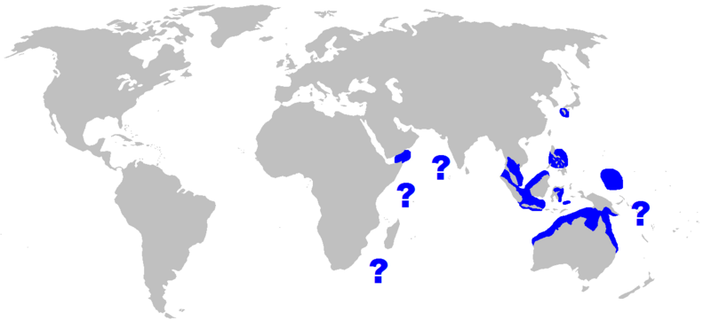 File:Himantura fai rangemap.png