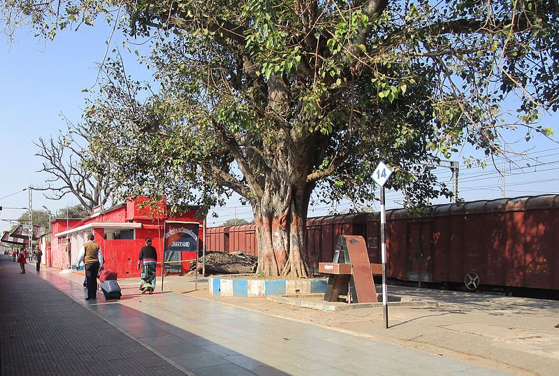 File:Koderma Railway station.JPG