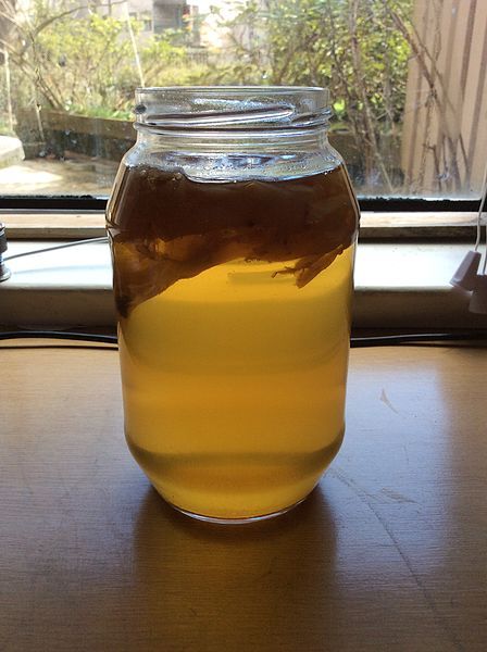 File:Kombucha tea .jpg