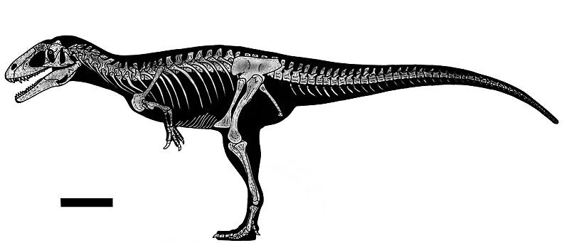 File:Lusovenator.jpg