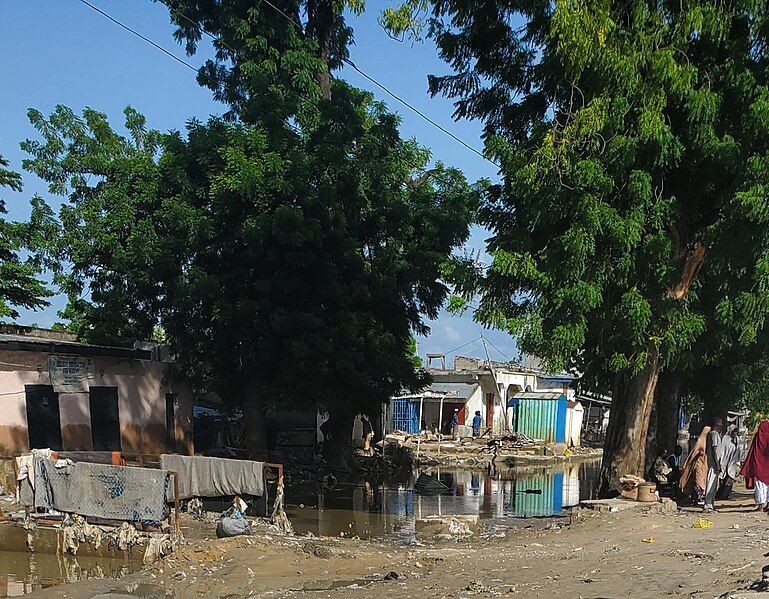 File:Maiduguri flooding.jpg 08.jpg