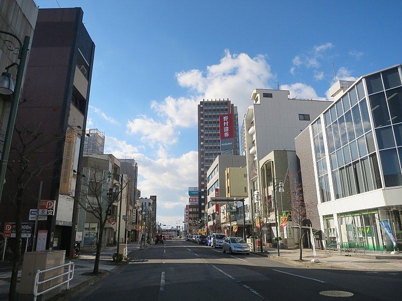 File:Okazaki-Nishikoseidori-1.jpg