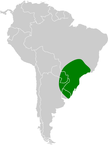 File:Pseudoleistes guirahuro map.svg