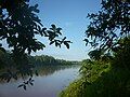 Picture of the Purus River in Peru.