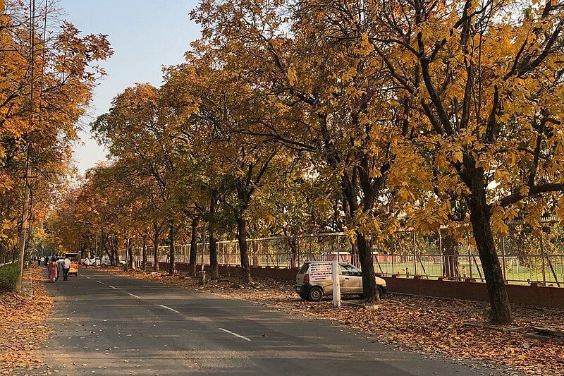 File:Road in Chandigarh.jpg