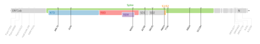 File:SARS-CoV-2 Alpha variant.svg