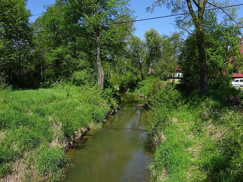 File:Skawinka(Cedron)-RzekaWWoliRadziszowskiej-POL, Wola Radziszowska.jpg