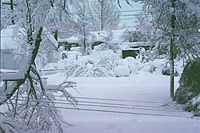 The Veteran's Day storm of November 9–14, 1996, may be the most severe early-season lake-effect snow storm the Great Lakes has witnessed in the past 50 years[when?]. At the height of the storm, over 160,000 customers were without power in Greater Cleveland alone, as the storm produced isolated snowfall tallies approaching 70 inches (178 cm).