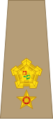 File:South Africa-Army-OF-4-1961.svg