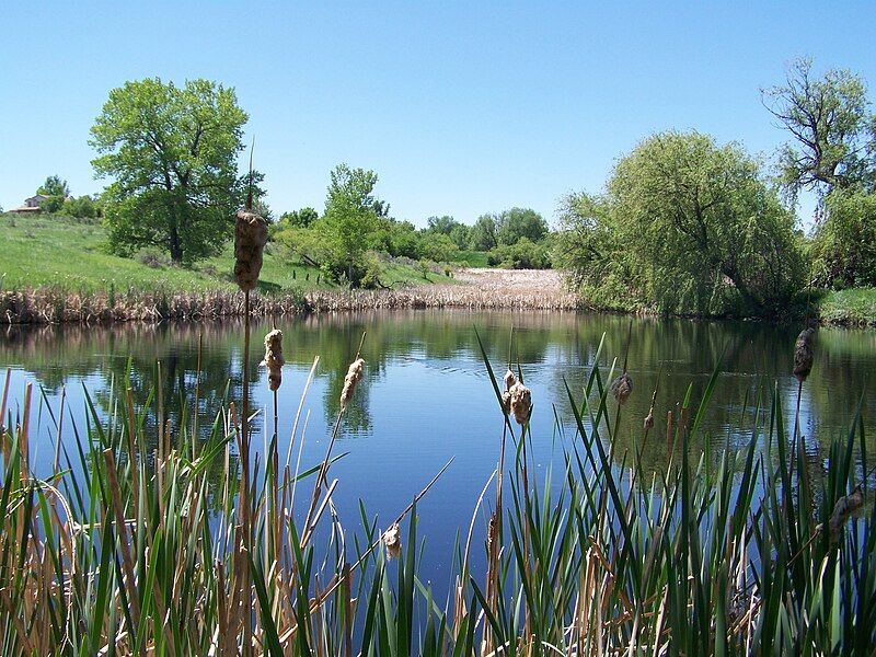 File:Two Ponds NWR.JPG