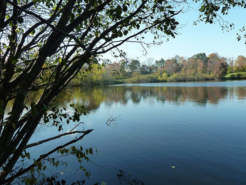 File:Baxter Reserve Lake.JPG