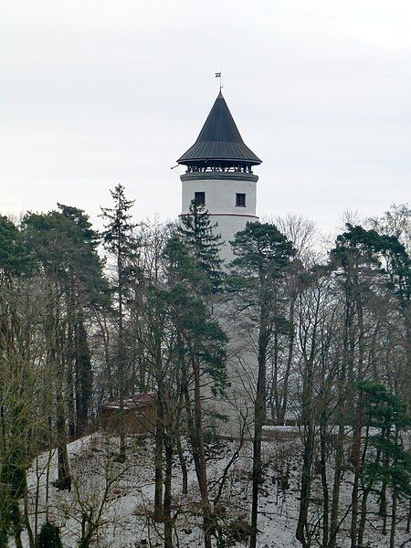 File:Bergfried Hohenbodman-01.jpg