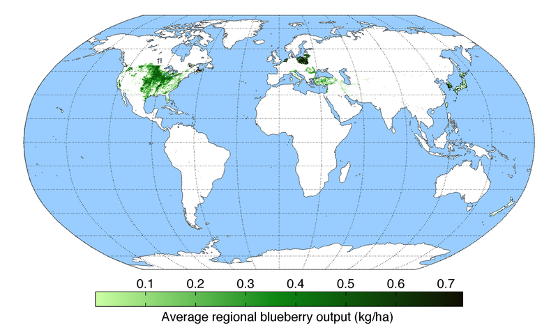 File:BlueberryYield.png